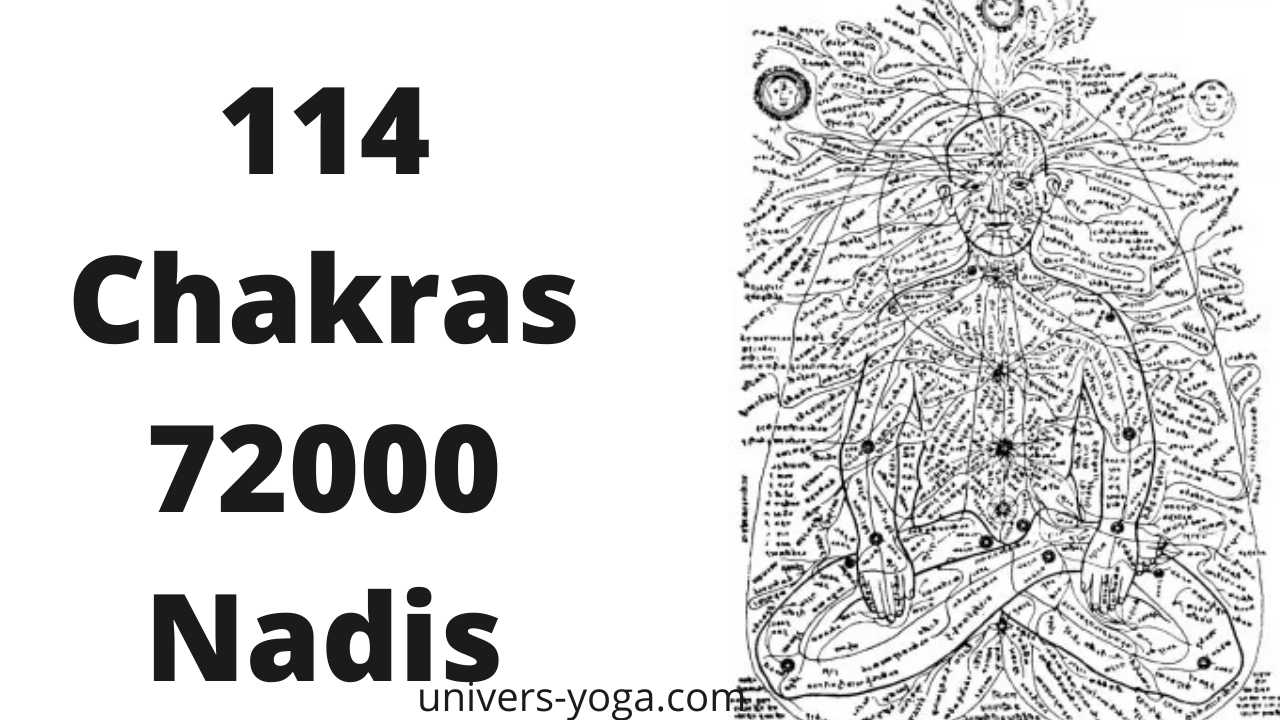 114 Chakras 72000 Nadis
