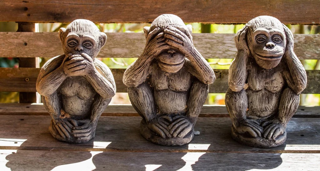 singes-de-la-sagesse