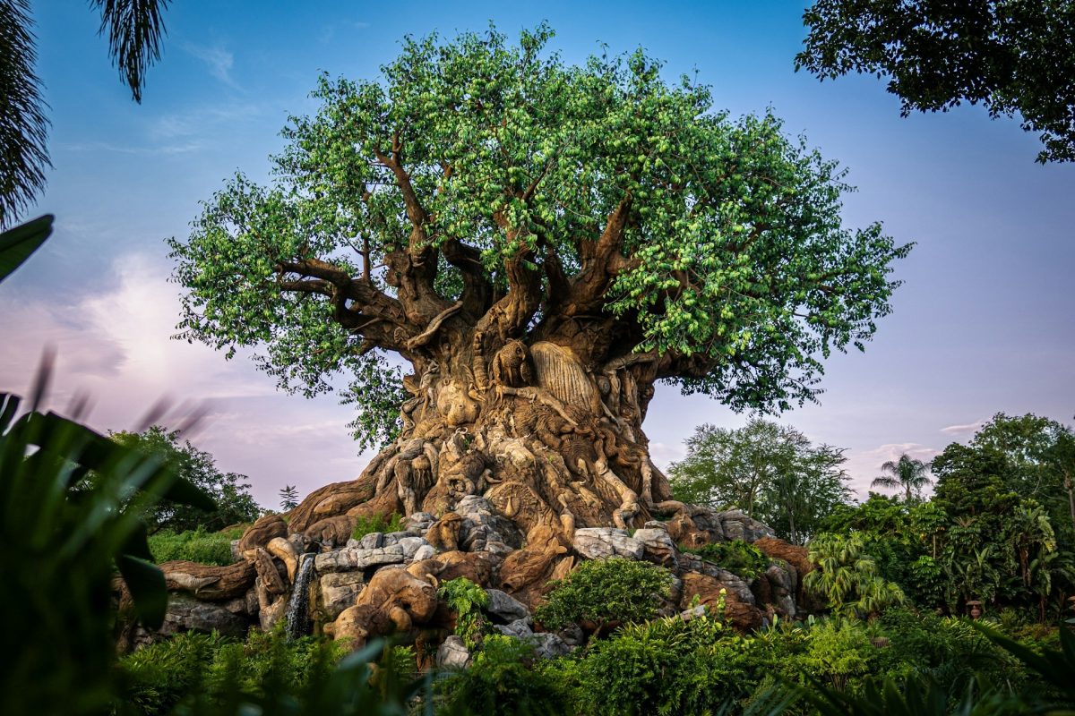 arbre-de-vie-signification