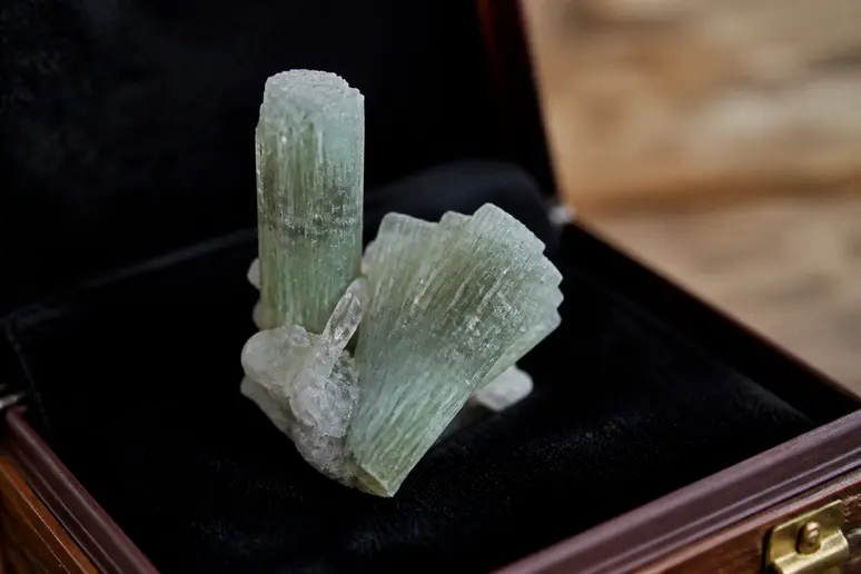 Spécimen de vivianite aux cristaux vert pâle protégé de la lumière dans un écrin sombre